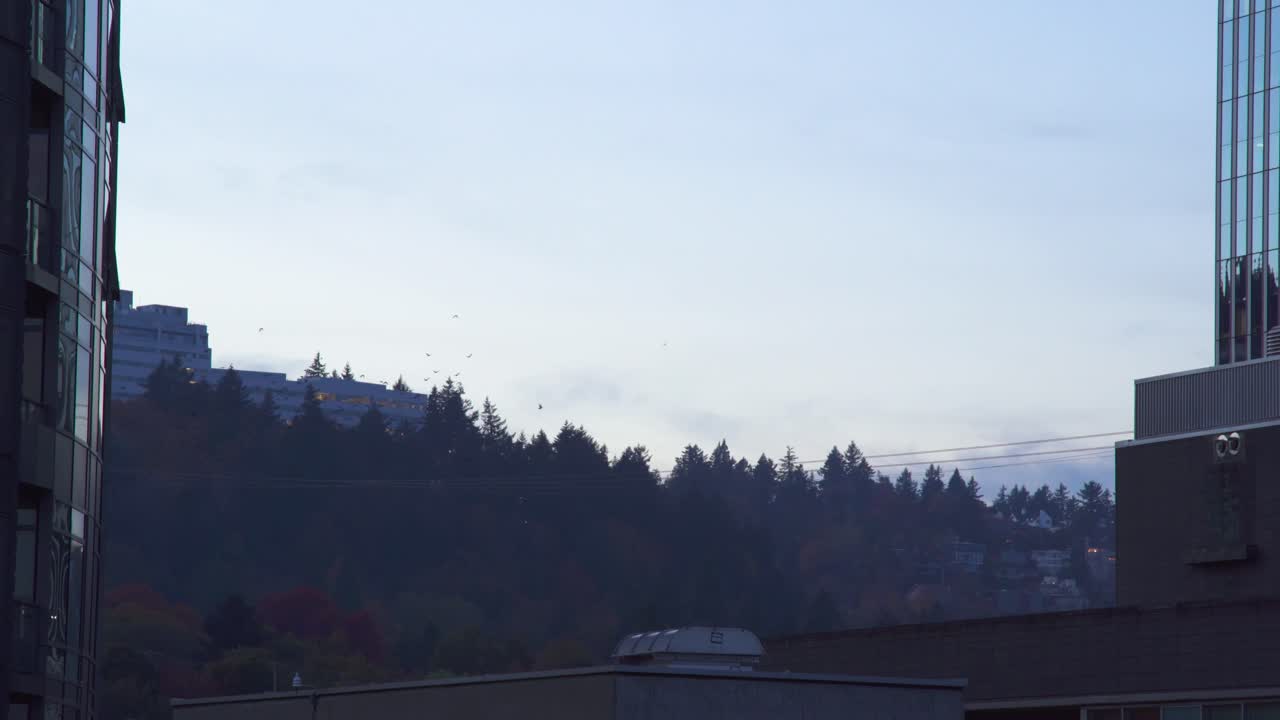 황혼의 빈 공중 트램웨이, 새 떼가 장면을 날아다니고, 타이트한 정적 샷