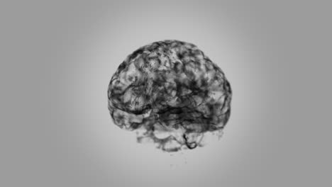 the brain is black loop