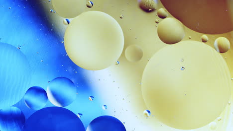 real close up oil bubbles in water rotation with color gradient abstract mixing background