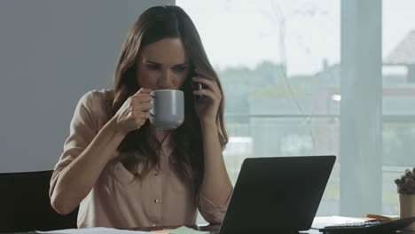 Mujer-De-Negocios-Trabajando-En-La-Computadora-En-El-Lugar-De-Trabajo.-Retrato-De-Una-Dama-Hablando-Por-Teléfono.