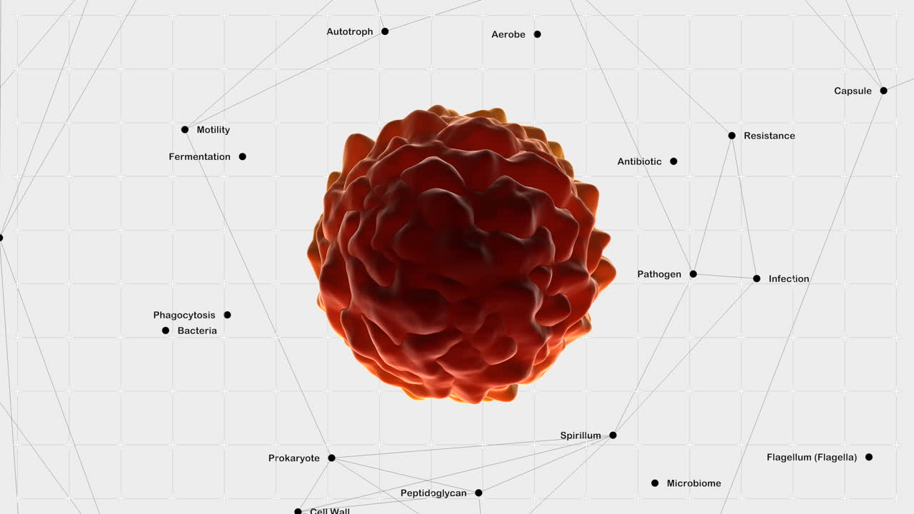 Animated microscopic bacteria with medical information descriptions
