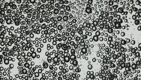 bubbles of mineral water in the glass bubbles of mineral water in the glass lemon slice on the rim of the glass and a straw inside