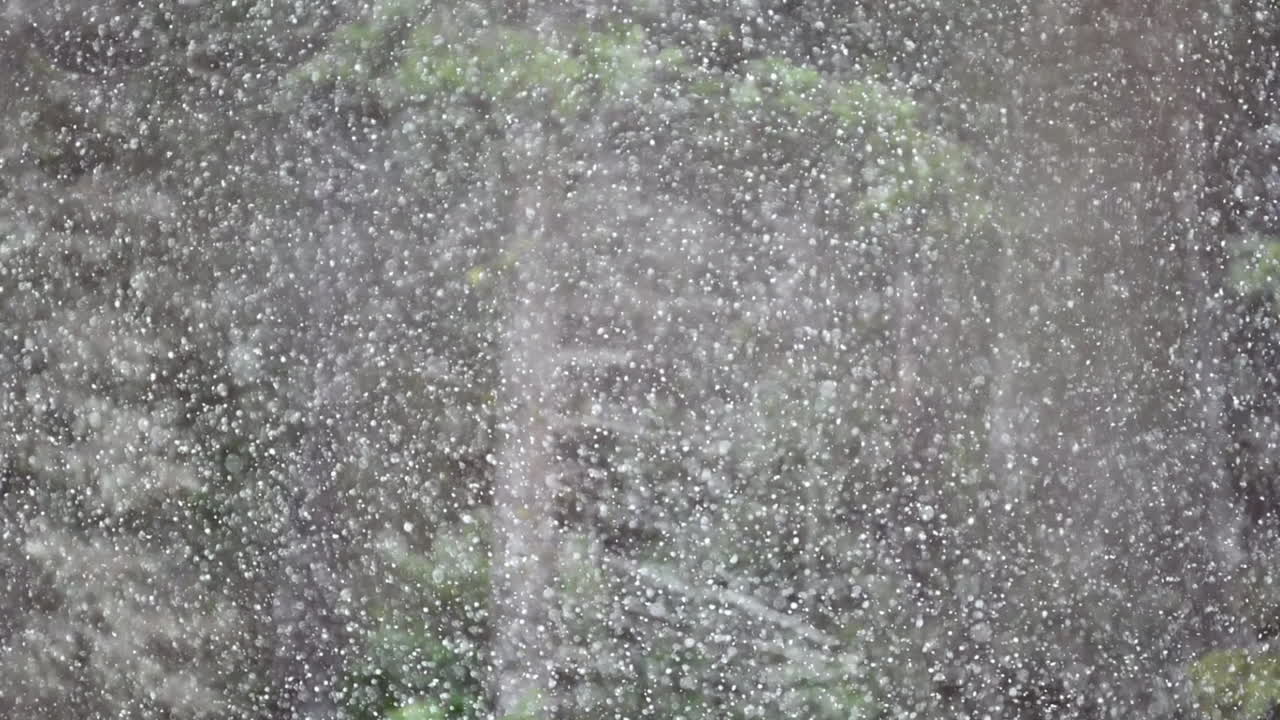 느린 동작으로 찍은 평화로운 겨울 장면에서 부드럽게 내려오는 눈송이의 평온함을 경험하십시오.