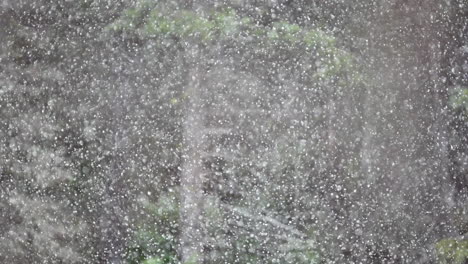 experimente la tranquilidad de los copos de nieve que descienden suavemente en una escena de invierno pacífica, capturada en cámara lenta