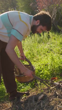 young farmer gathers wood and puts it in a basket