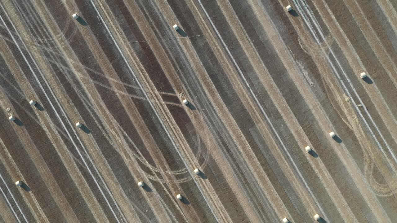 수확 후 노란색 둥근 둥근 큰 베일로 만든 농업 분야, 밀짚 롤