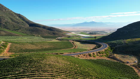 Finca-Vinícola-En-El-Castillo-De-Riebeek,-Cabo-Occidental,-Sudáfrica