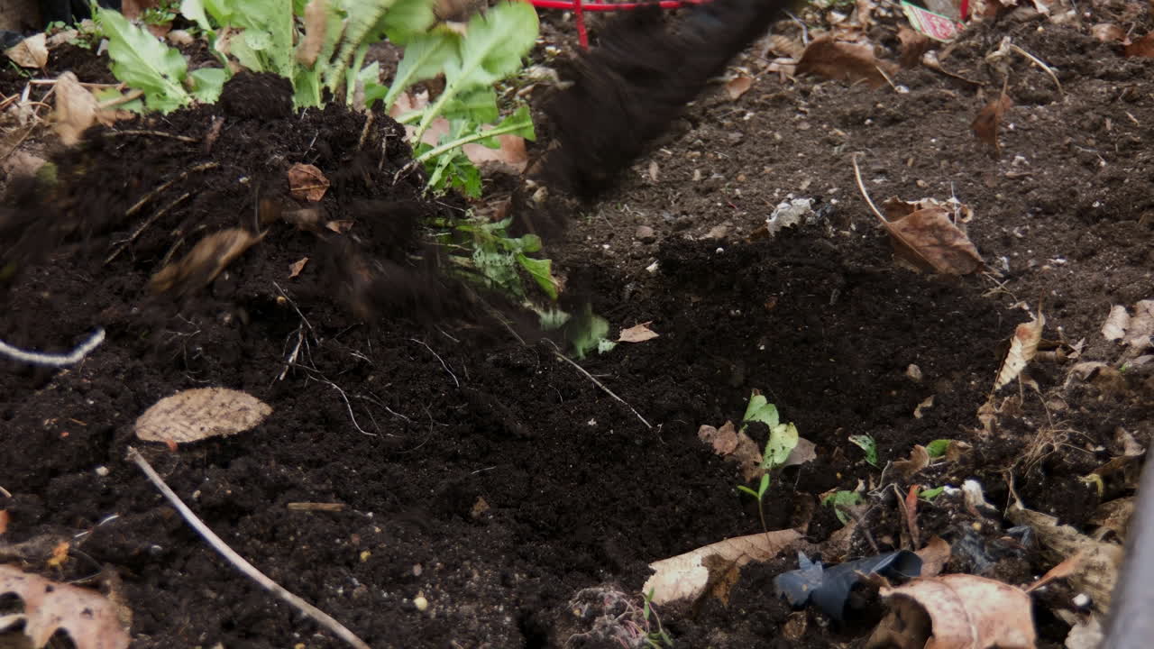 Close up of small garden shovel digging up weeds in garden and cleaning out leafs
