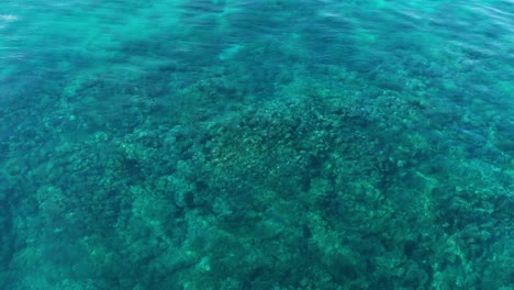 hermosos corales bajo las olas azules de fiji - antena