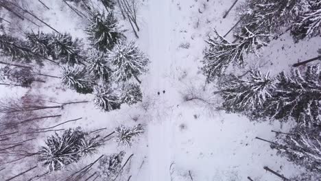 Topdown-shot-of-two-people-who-are-walking-on-a-snowy-path
