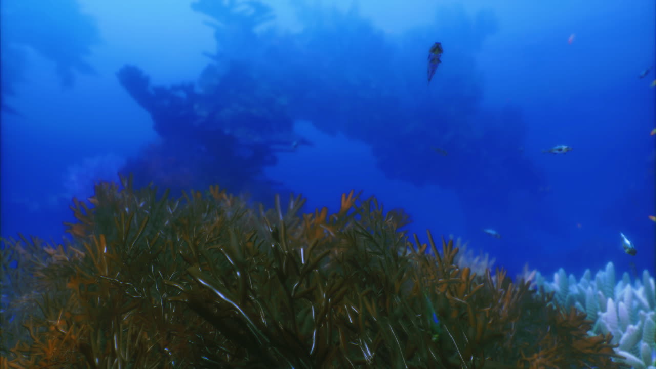 Vibrant underwater landscape showcasing marine life and coral formations