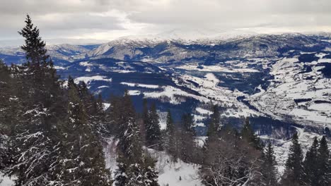 Motion-shot-moving-up-steep-hills-close-to-snow-covered-pine-and-spruce-forest---Voss-in-the-background-Aerial