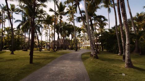 relaxed feeling in caribbean resort with palms and tropical vegetation
