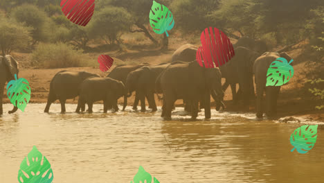 animation of leaves falling and heart icons over elephants