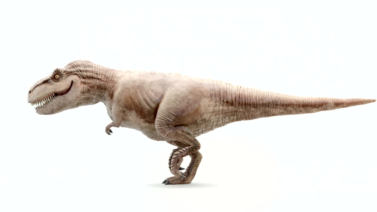 tyrannosaurus rex en movimiento de caminata