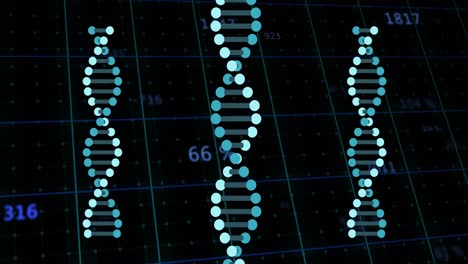 animation of numbers and data processing and dna strands spinning