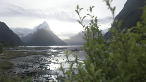 Slow-motion-reveal-shot-of-Milford-Sound,-New-Zealand,-on-a-sunny-afternoon