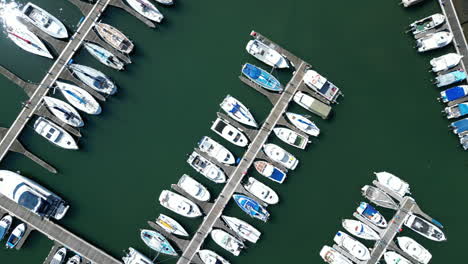 el puerto deportivo de sunderland