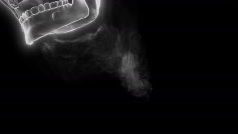 cráneo de humo volador con ojos brillantes con canal alfa
