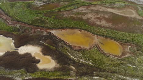 aerial view of salt marsh ecosystem