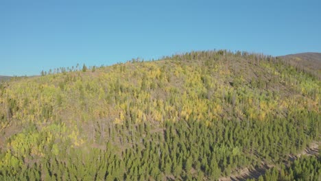 Luftaufnahmen-Des-Frühen-Morgens-Im-Shadow-Mountain-Lake-Im-Grand-Lake-Colorado-Mit-Den-Herbstfarben,-Die-Gerade-Beginnen