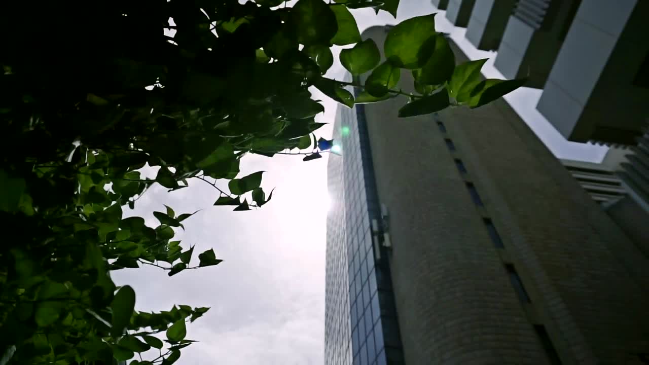 High building and sky