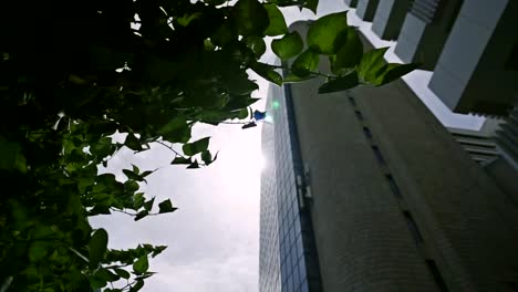 high building and sky