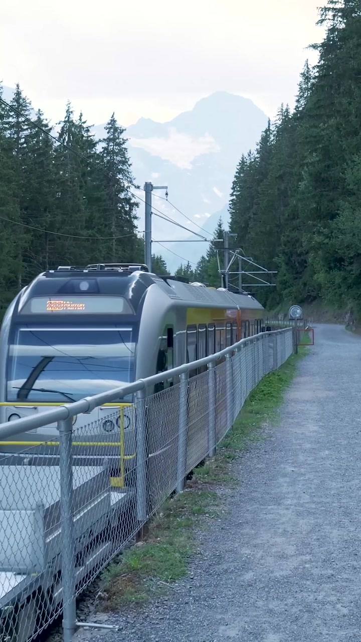 Treno pendolare che attraversa una suggestiva foresta alpina