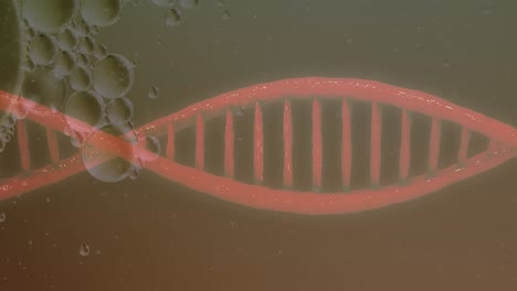 Animation-Von-Blasen-über-DNA-Strang-Auf-Grünem-Hintergrund