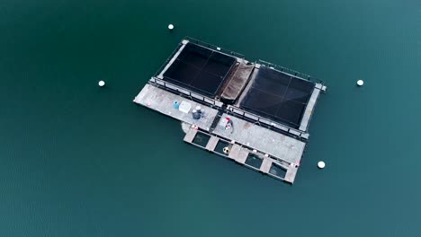 white sea bass hatchery carlsbad lagoon drone view
