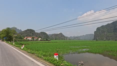 traveling along a rural road with lush greenery