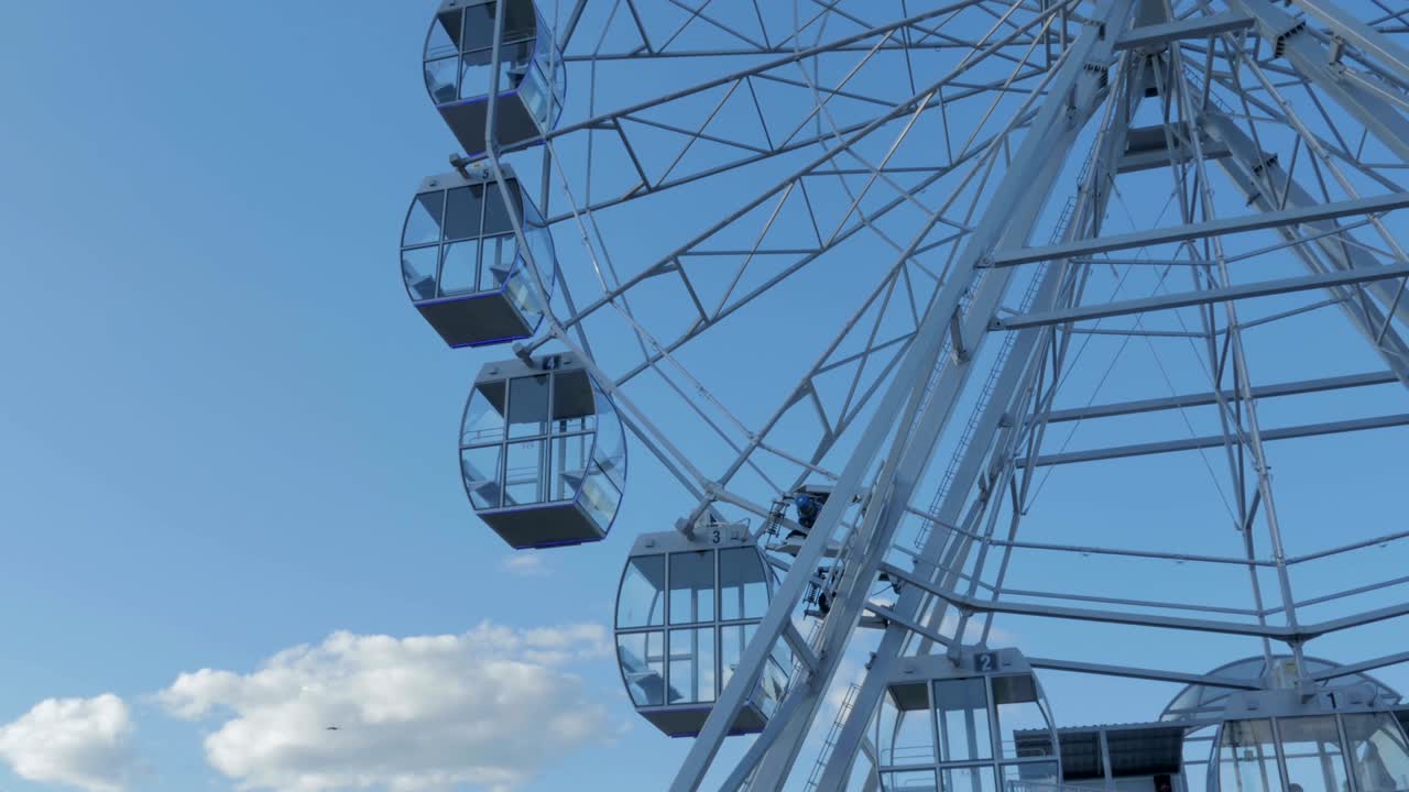 파란 하늘을 향한 페리스.