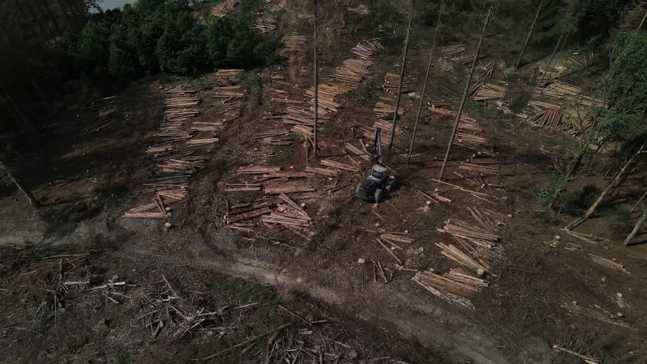 Forwarder during clearing forest after trees cutting