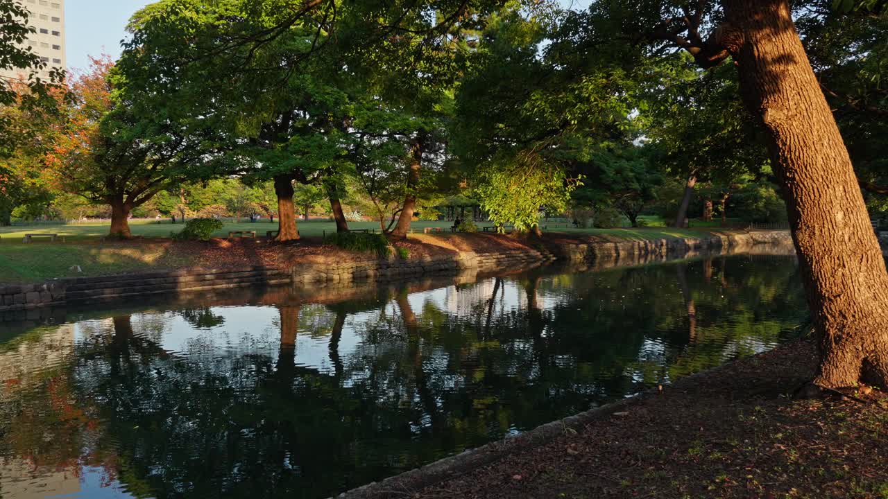 Tranquil pond in Hamarikyu Gardens with lush trees and their reflections on the calm water, under warm evening light.