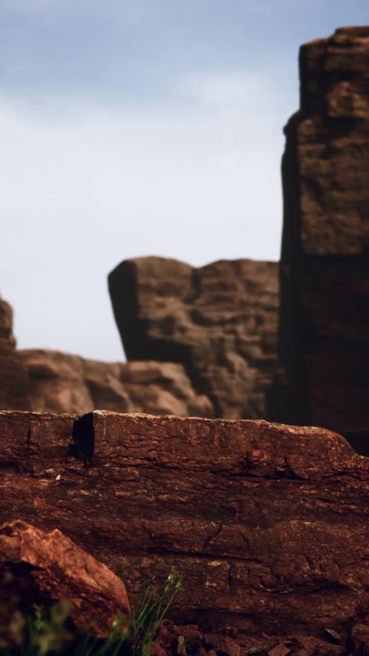 el río colorado corta a través de la roca en el gran cañón