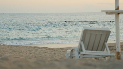 summer tropical beach scenery, empty plastic chair facing ocean in tenerife