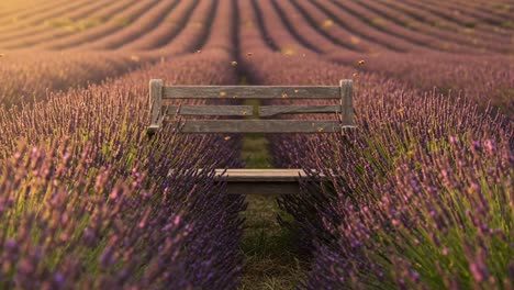 a tranquil wooden bench nestled in a serene lavender field during golden hour, offering a peaceful escape surrounded by rows of vibrant purple blooms under a soft evening sky