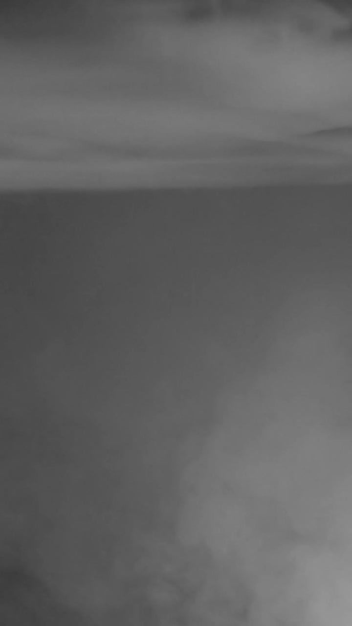 A dense, bright white fog or smoke texture fills the vertical frame. Ideal for creating a "whiteout" effect, transitions, or clean atmospheric scenes
