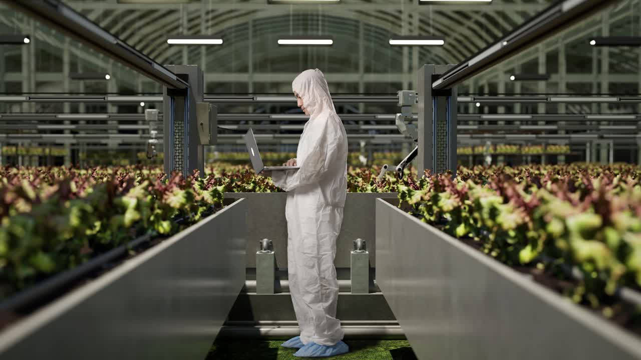 полный боковой вид тела азиатского исследователя с помощью ноутбука и оглядываясь, стоя в теплице с умными роботами-фермерами