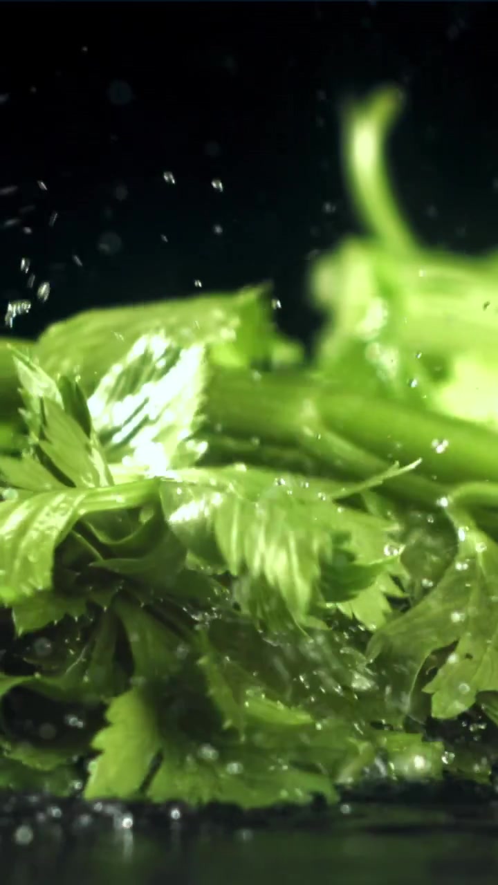 Sedano verde fresco che cade nell'acqua al rallentatore