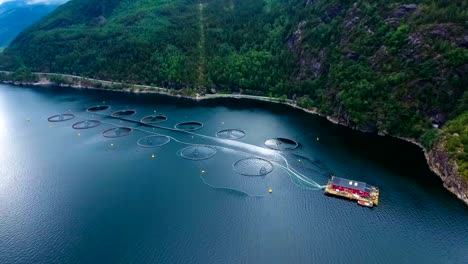 imágenes aéreas de granjas de pesca de salmón en noruega