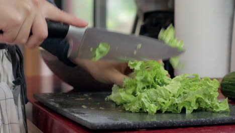 Prepairing-a-salad-for-lunch