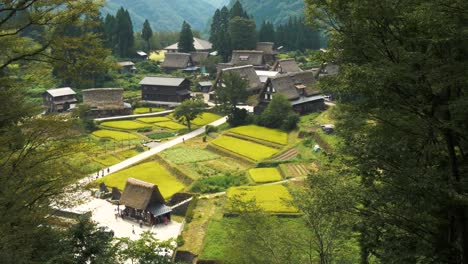 a picturesque summer view of gokayama village in toyama prefecture, japan, featuring lush green rice fields, traditional thatched-roof houses, and serene mountain scenery.