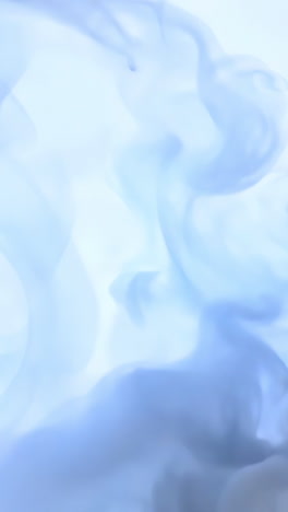 a white background with a blue sky. the sky is clear and bright. the background is very clean and simple
