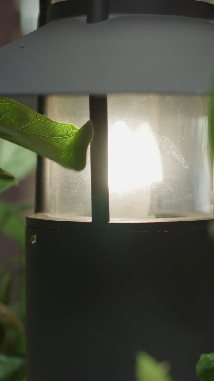 primer plano de una lámpara al aire libre rodeada de vegetación vibrante con un fondo suave y borroso con sutiles glitches de luz azul, iluminación ambiental suave, que evoca la calma y la belleza natural