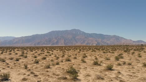 Palm-Springs-Drone-of-Windmills-at-the-Mountains-footstep-with-desert-and-cacti-in-foreground-low-to-ground