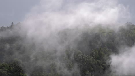 vapor que surge de un manantial volcánico natural caliente en las azores, de cerca