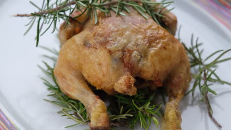 gebackenes hähnchen, rotierend auf teller. gegrilltes geflügelfleisch