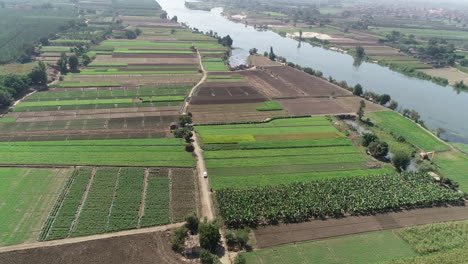 aerial shot for the river nile of egypt in cairo surrounded by the green lands of the nile valley
