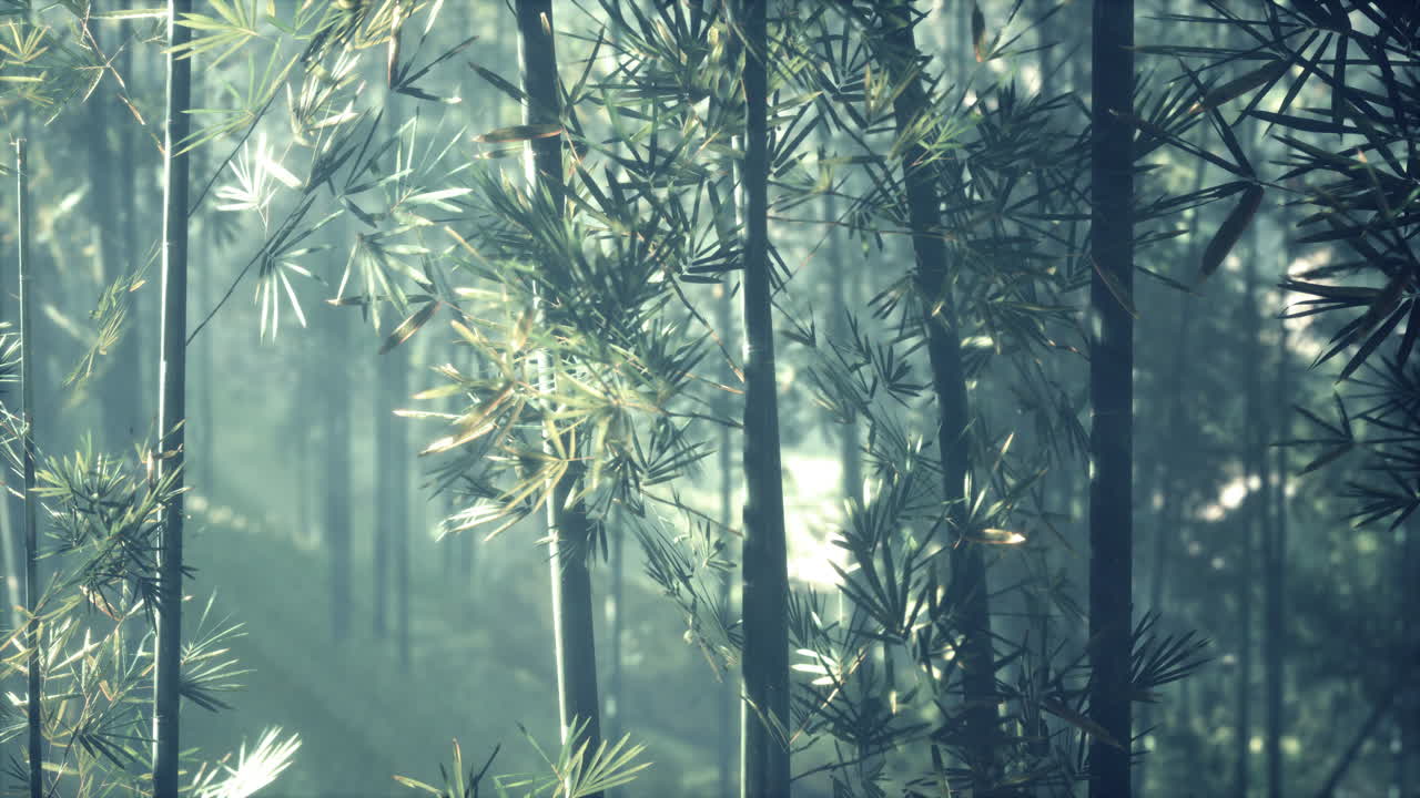 un sereno bosque de bambú bañado por la luz del sol